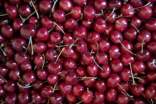 樱桃的功效与作用及食用方法