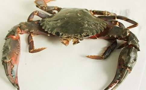 ׽�зСѧ����20ƪ