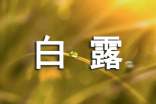 白露节气快乐祝福语