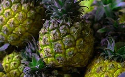 ����Сѧ����13ƪ