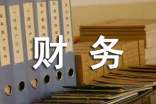 财务人员个人总结