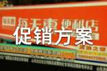 实用的促销方案范文汇总8篇