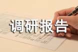 分管工作调研报告