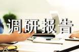 年度工作调研报告