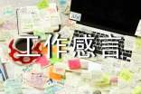 保险工作感言大全