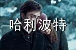 哈利波特阅读心得