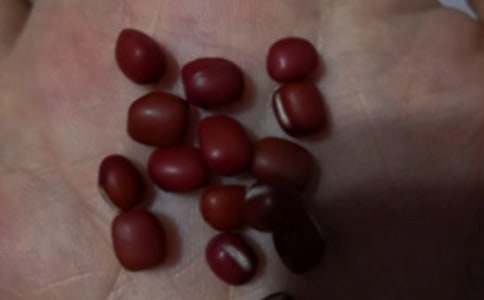 �춹Ͽ����