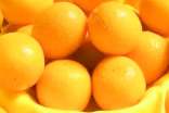金桔的营养价值