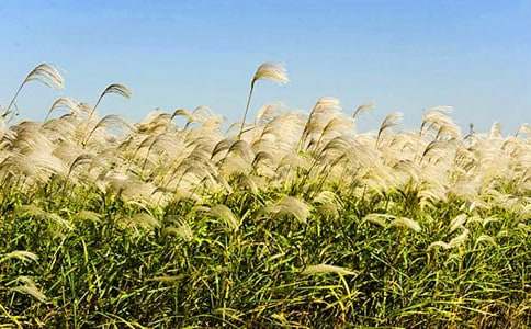 «έСѧ����