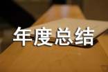 个人年度总结