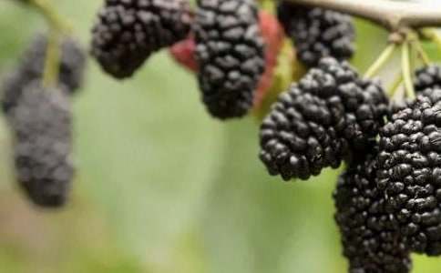 ��ɣ���Ĺ�Ч������