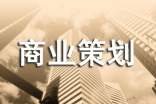 标准商业策划书格式