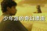 少年派的奇幻漂流观后感集锦15篇