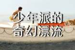 少年派的奇幻漂流观后感12篇
