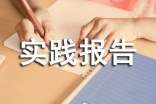 社会实践报告单