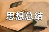 个人政治思想总结通用