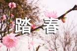 踏春的作文(通用15篇)