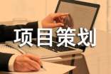 项目策划方案怎么写