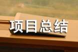 项目总结报告模板