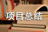 如何写项目总结报告