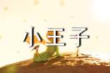小王子读后感