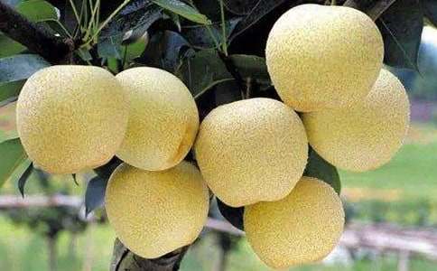 ѩ�������600��6ƪ