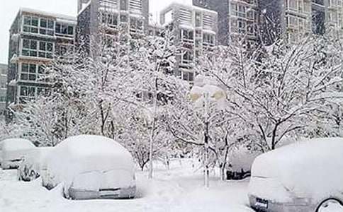 ��ѩ�ֺ�Ӧ�Թ����㱨����ѡ15ƪ��