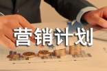 营销计划书范文