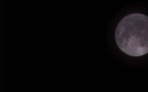 ����һ����Բʱ����15ƪ