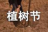 少先队植树节广播稿(2017最新版)