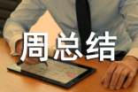 个人周总结怎么写