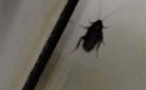 ׽�������