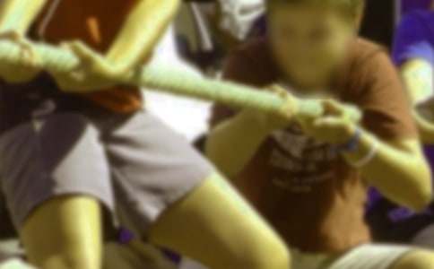 ��ѧ�κӱ����߻���15ƪ