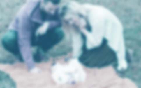 爸爸妈妈对我的爱写作文