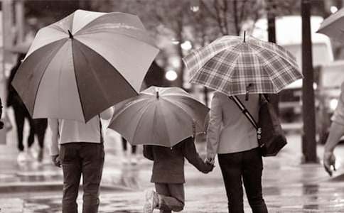 ���ְ����谮���̰�