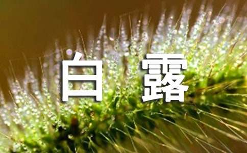 白露节气暖心问候语