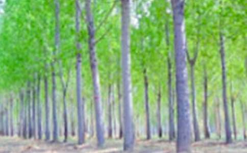 �������޷�д����