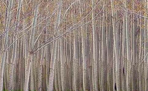 Сѧ���ġ�����̰�