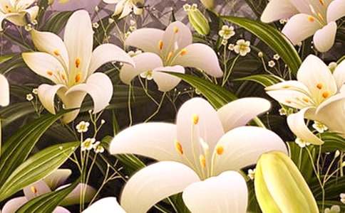 �ٺϻ��Ļ���