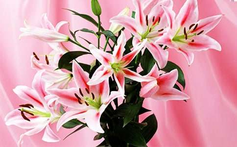 �ٺϻ���ͬ�����Ļ��Ｐ��ֵ��;