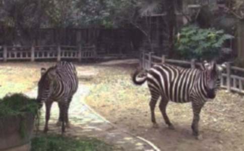 �������ð����߳����鼯��15ƪ