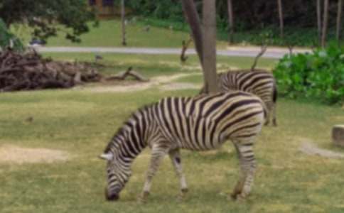 �������ð����߳�����