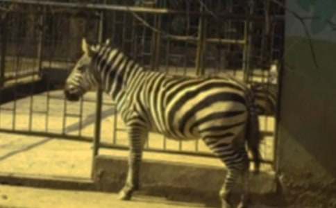 �������ð����߳�����[��]