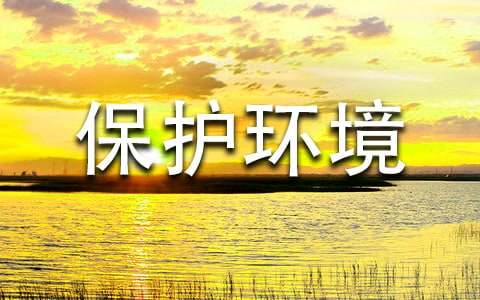 ʵ�õı�������������