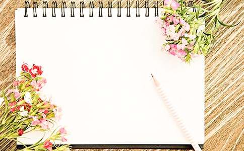 �������ʼǱ����ۺ��11ƪ