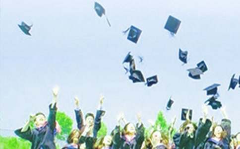 ��ѡ��ҵ��ʵϰ���淶�ļ���ʮƪ