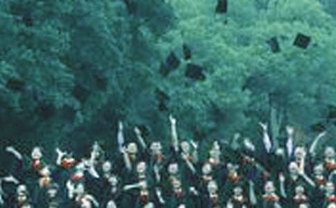 ������Ʊ�ҵʵϰ����13ƪ