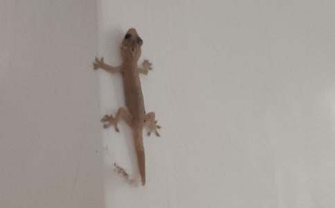 С�ڻ���β�ͽ̰�15ƪ���ر���