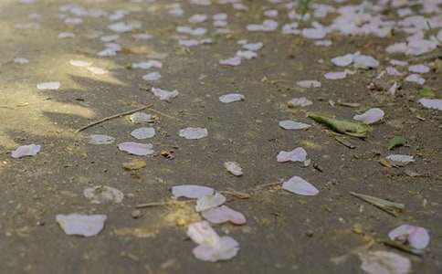 (优)下冰雹作文15篇