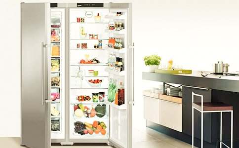 大班语言冰箱里的秘密教案